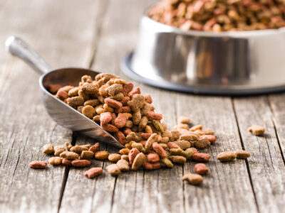 Heart & Green Tripe Raw Pet Food